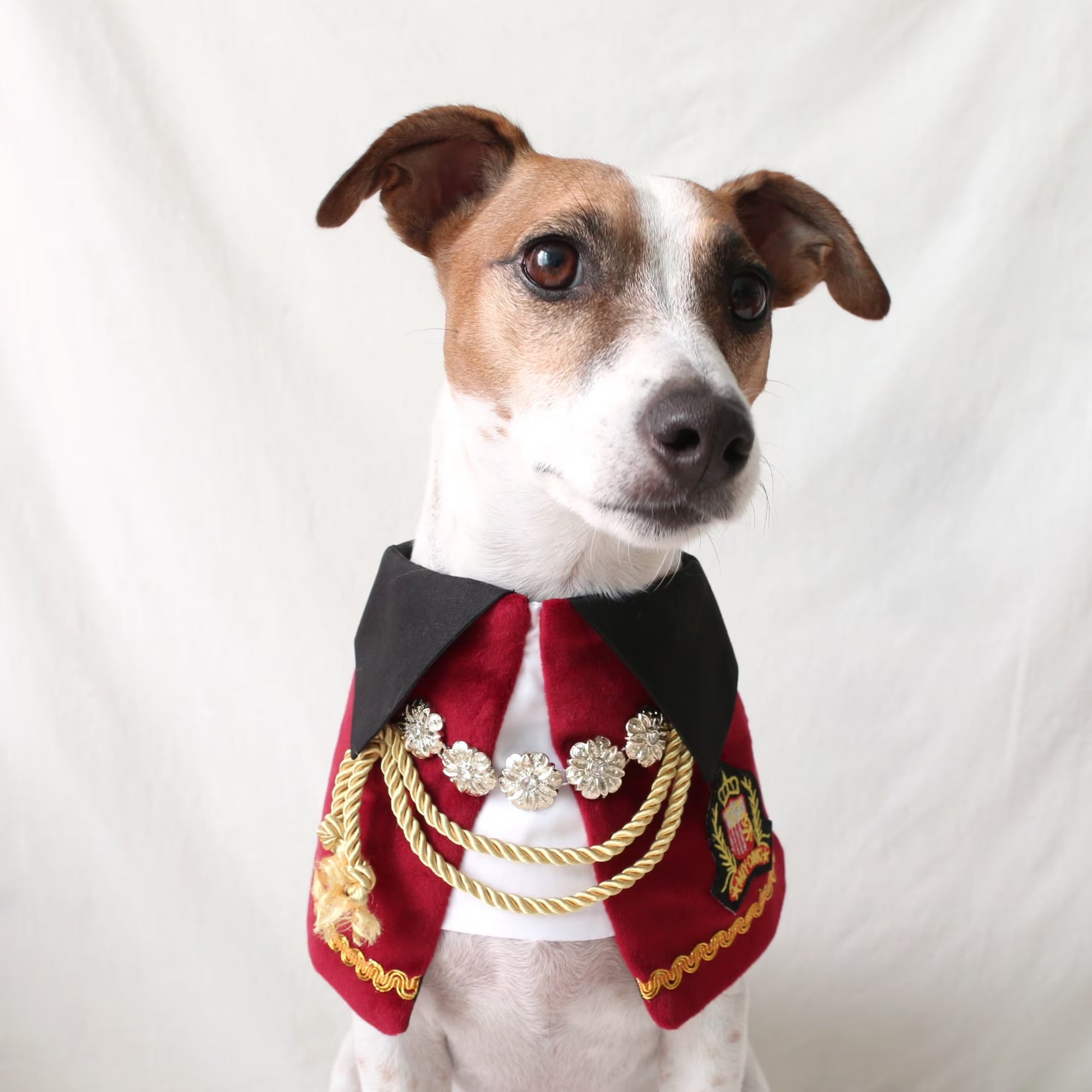 Royal Nutcracker Prince Pet Costume: Cat Dog Count Cape - Halloween Christmas