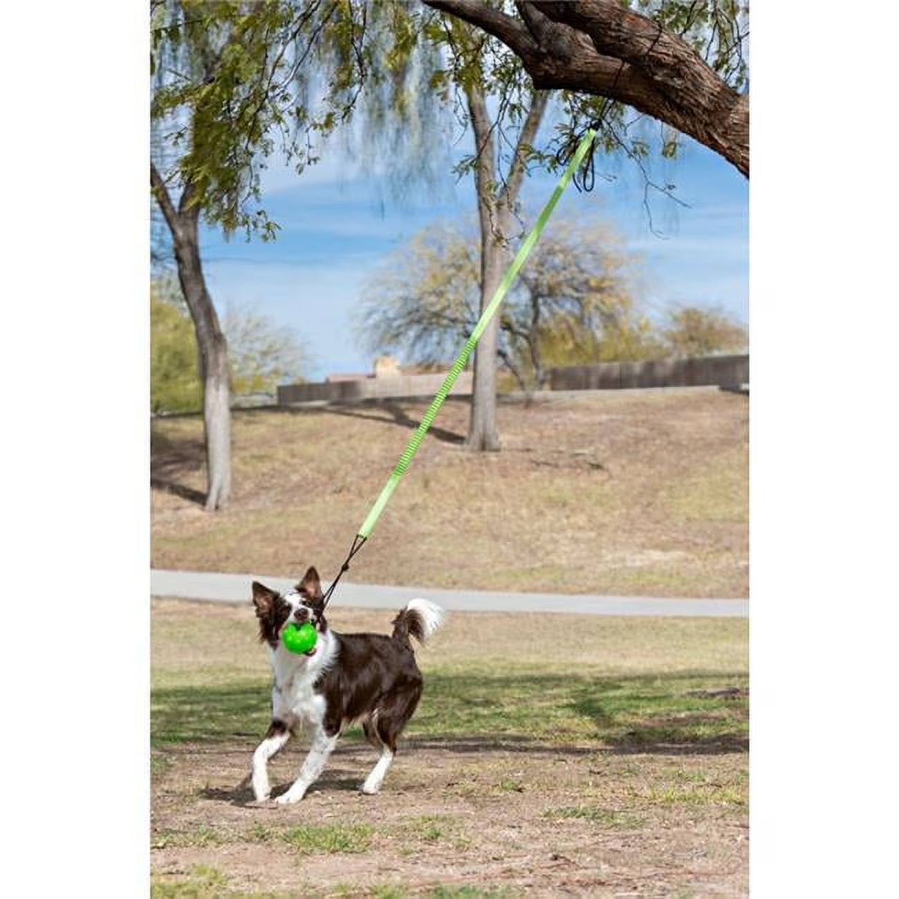 JP071  Tree Tugger Bungee, Green - Large