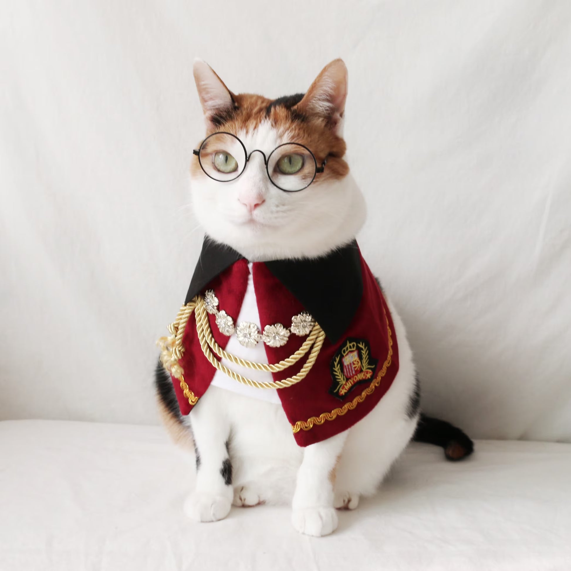 Royal Nutcracker Prince Pet Costume: Cat Dog Count Cape - Halloween Christmas