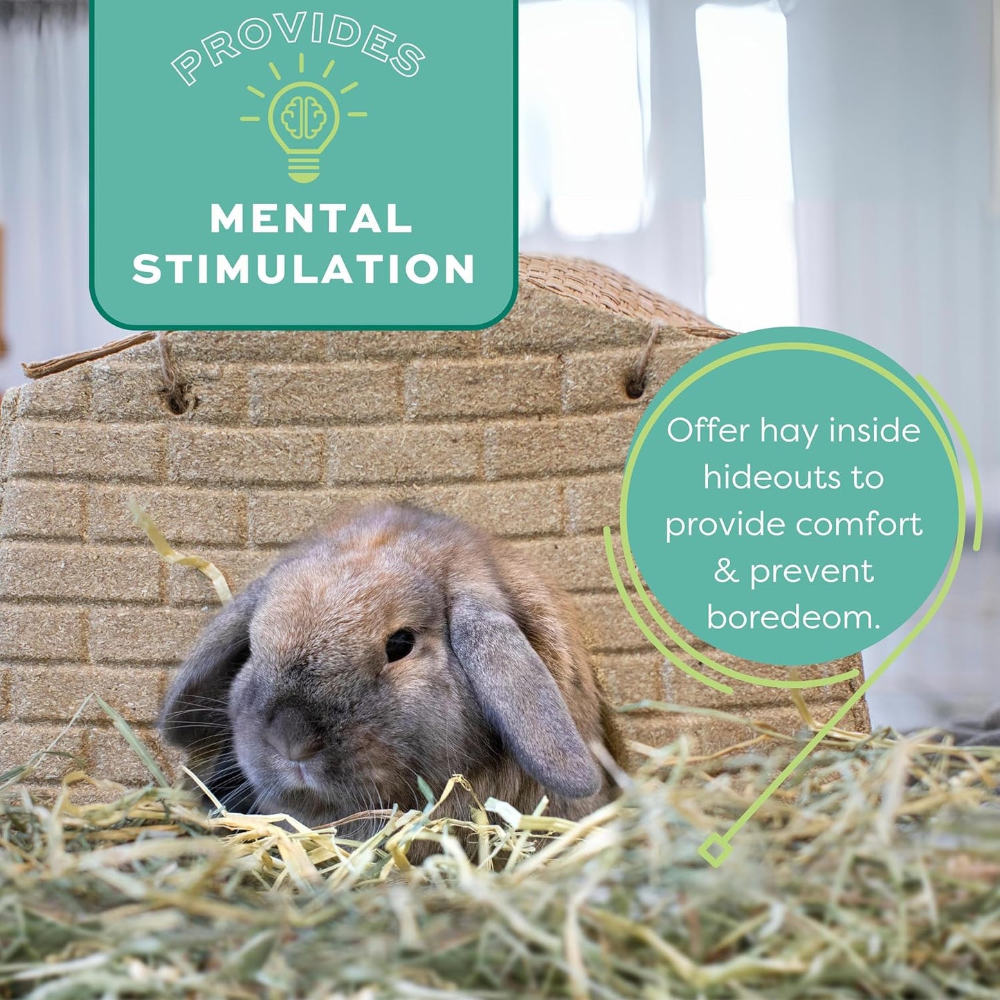 Western Timothy Hay, Guinea Pig Hay, Small Pet Bunny Supplies, All Natural Grass for Guinea Pig, Bunny, Chinchilla & Hamster,  Rabbit Supplies for Bunnies, 90 Oz. Bag