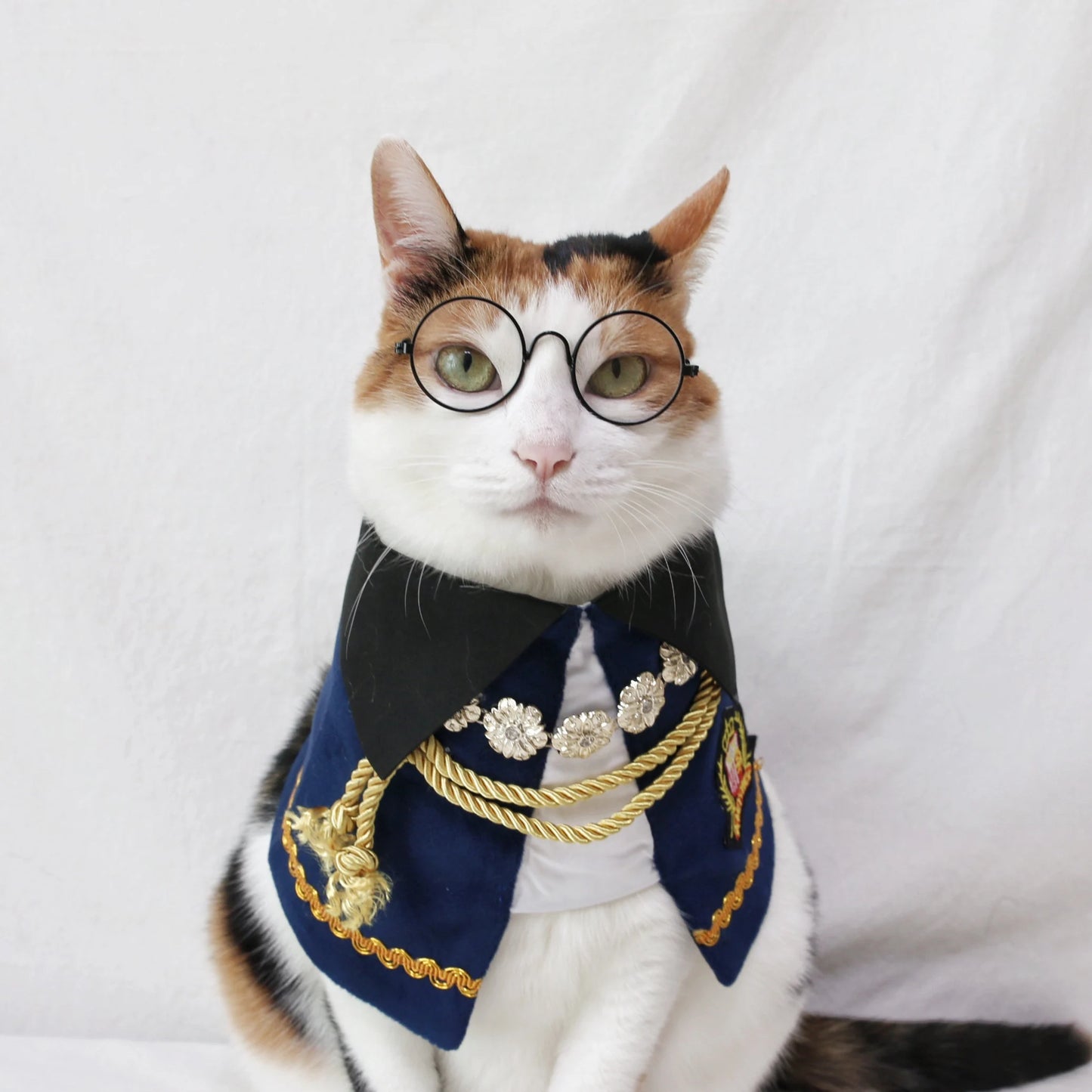 Royal Nutcracker Prince Pet Costume: Cat Dog Count Cape - Halloween Christmas