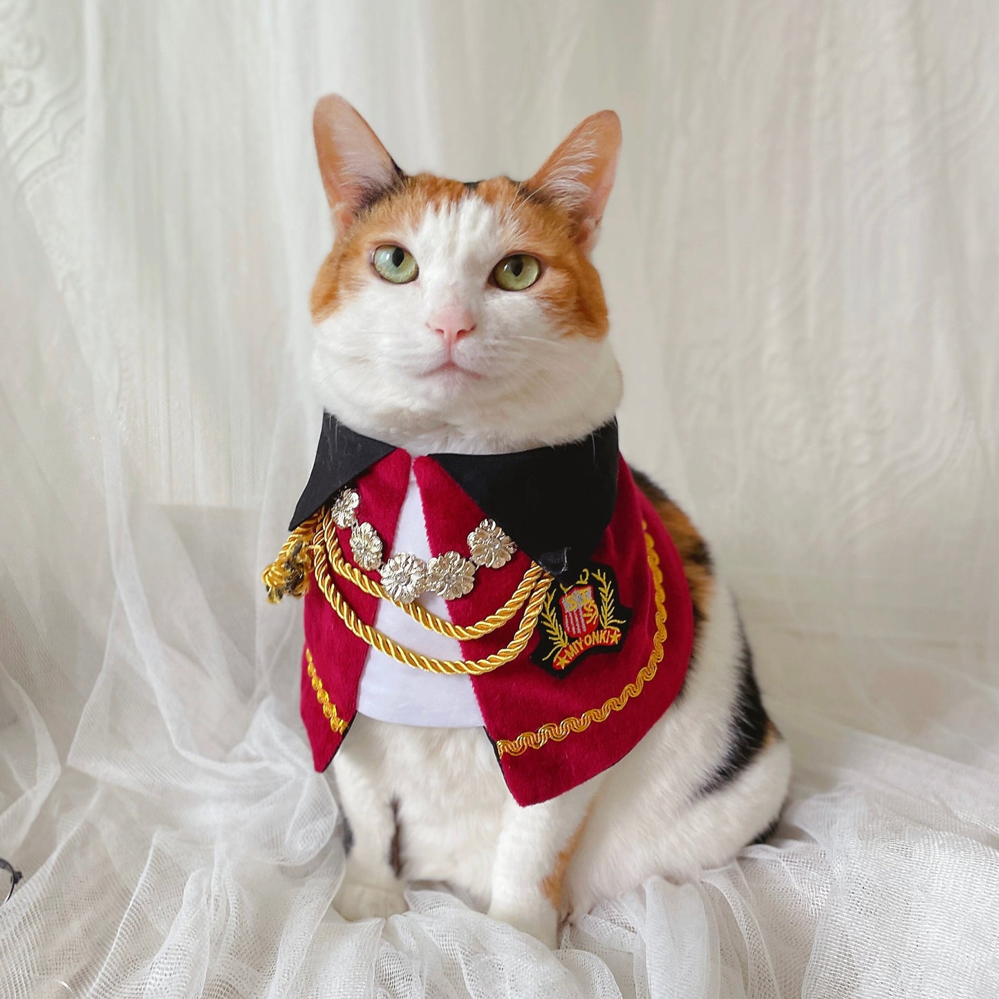 Royal Nutcracker Prince Pet Costume: Cat Dog Count Cape - Halloween Christmas